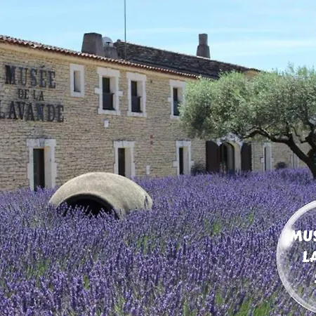 Les Bosquet Charmante Maison 2 ,parking Gratuit Au Centre De * Châteauneuf-du-Pape
